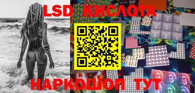 мяу мяу мука Лесосибирск