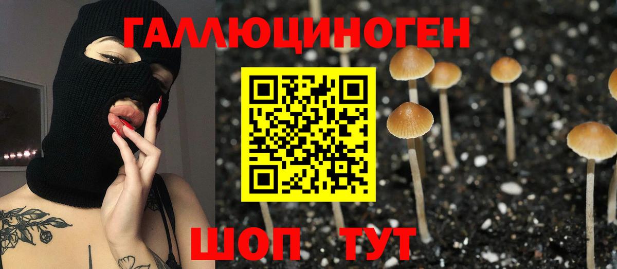 Галлюциногенные грибы мухоморы Гурьевск
