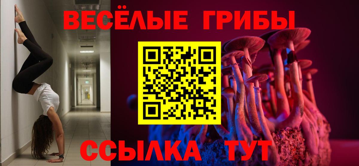 Галлюциногенные грибы GOLDEN TEACHER  Вход с VPN  Гурьевск 